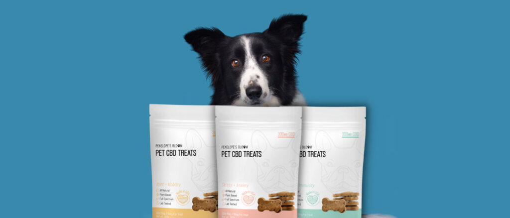 Seven Perfect Times to Give Dogs CBD Dog Treats - Penelope's Bloom Pet CBD