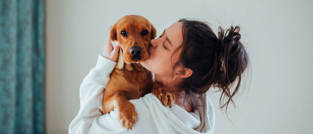5 Ways to Use CBD Oil for Dogs - Penelope's Bloom Pet CBD