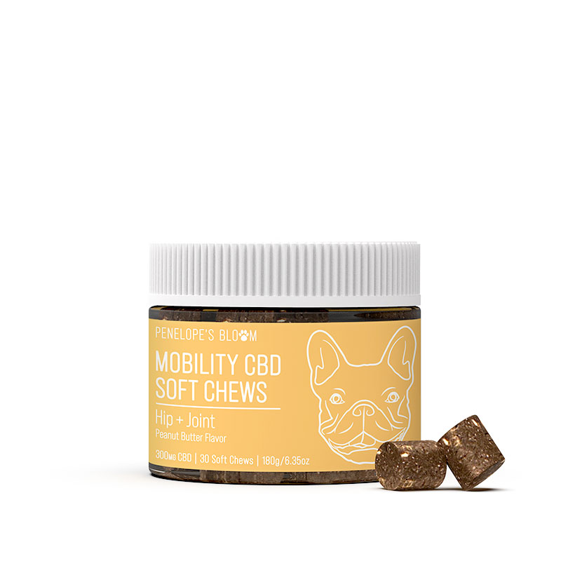 CBD Soft Chews For Joint + Mobility – Small To Medium Dogs - 300mg