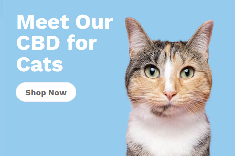 Penelope's Bloom: Shop CBD for Cats
