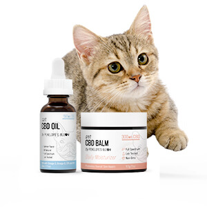 CBD for Cats