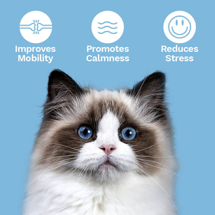 Penelope's Bloom Cat CBD Soft Chews for Stress and Anxiety beneffits
