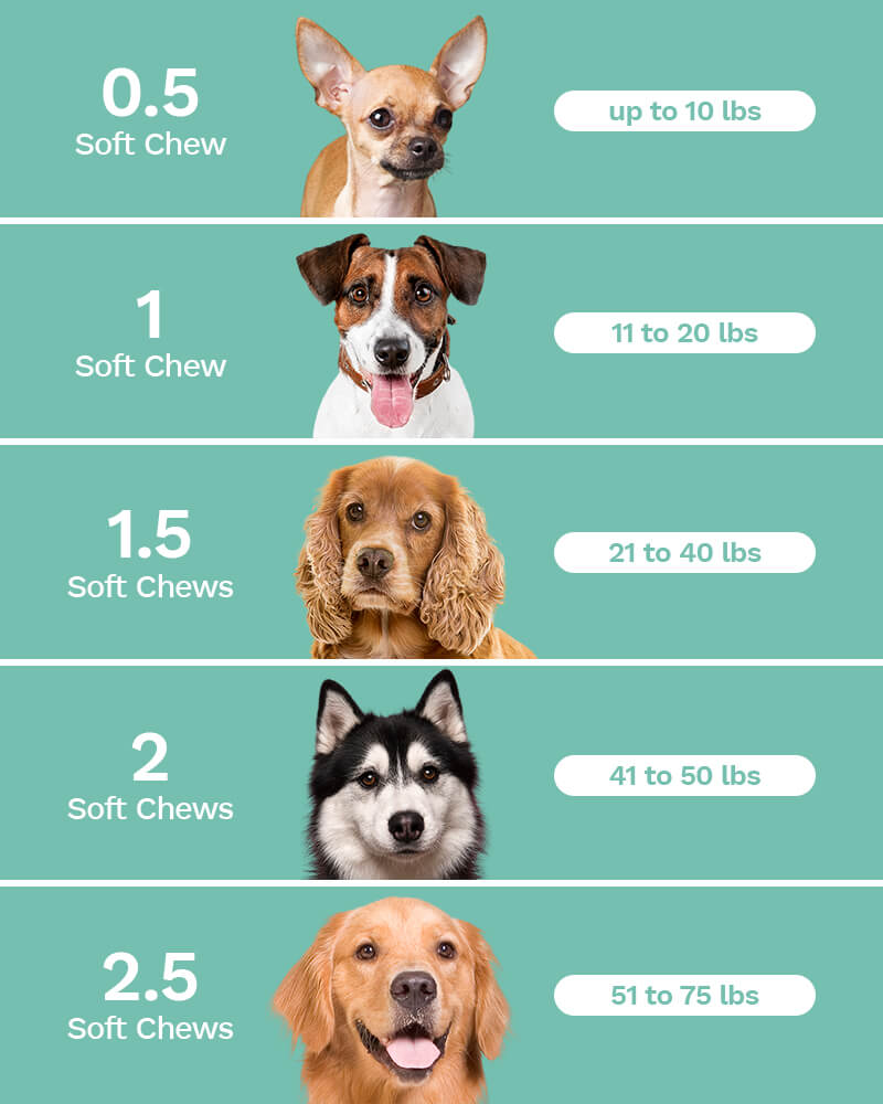 Penelope's Bloom Dosing Chart for Dog Soft Chews Dog 300mg