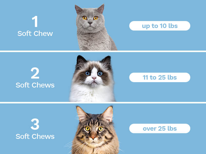 Penelope's Bloom Dosing Chart for Cat Soft Chews